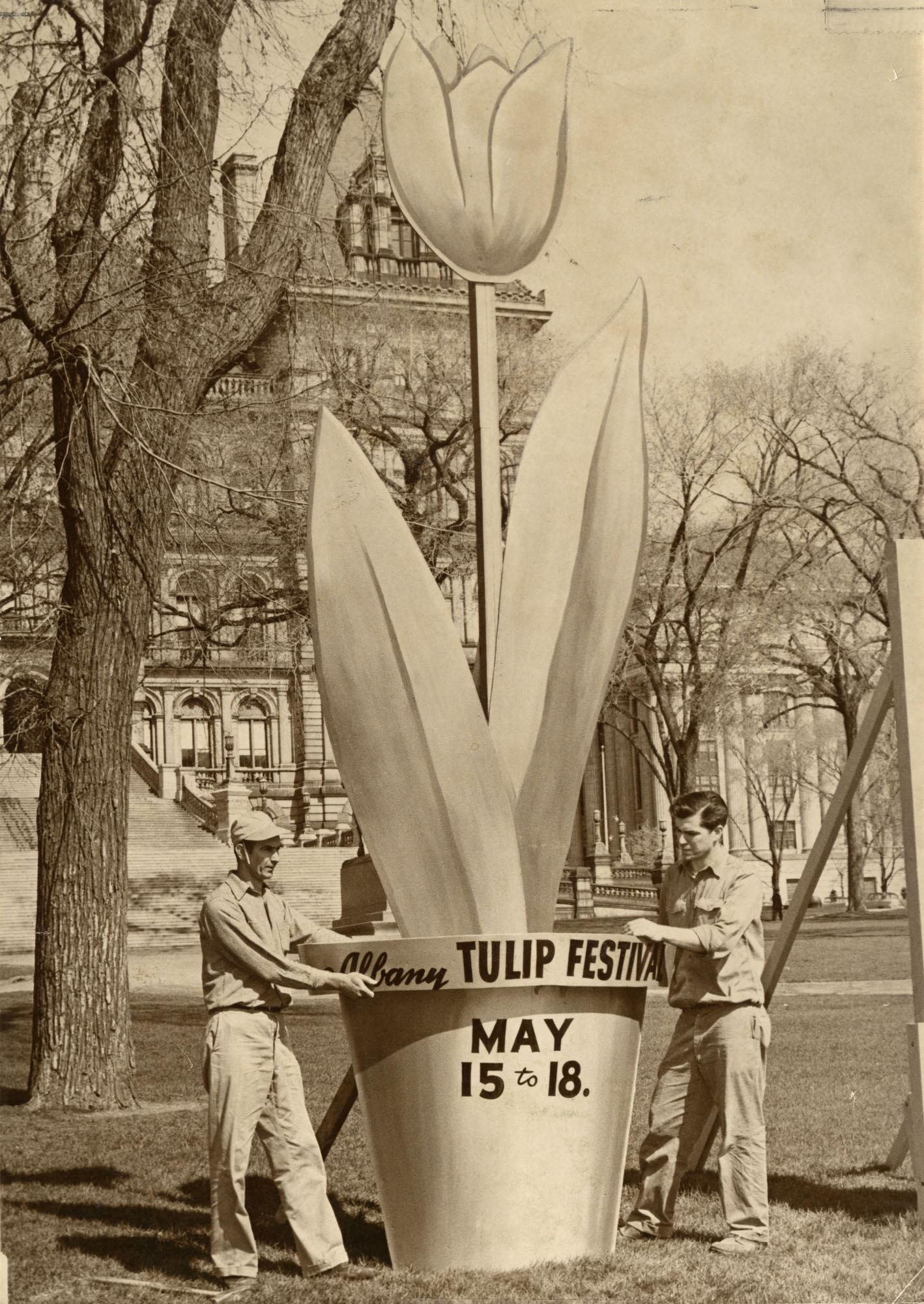 SPECIAL EVENT Tulip Trivia The History and Mystery of Albany's Tulip