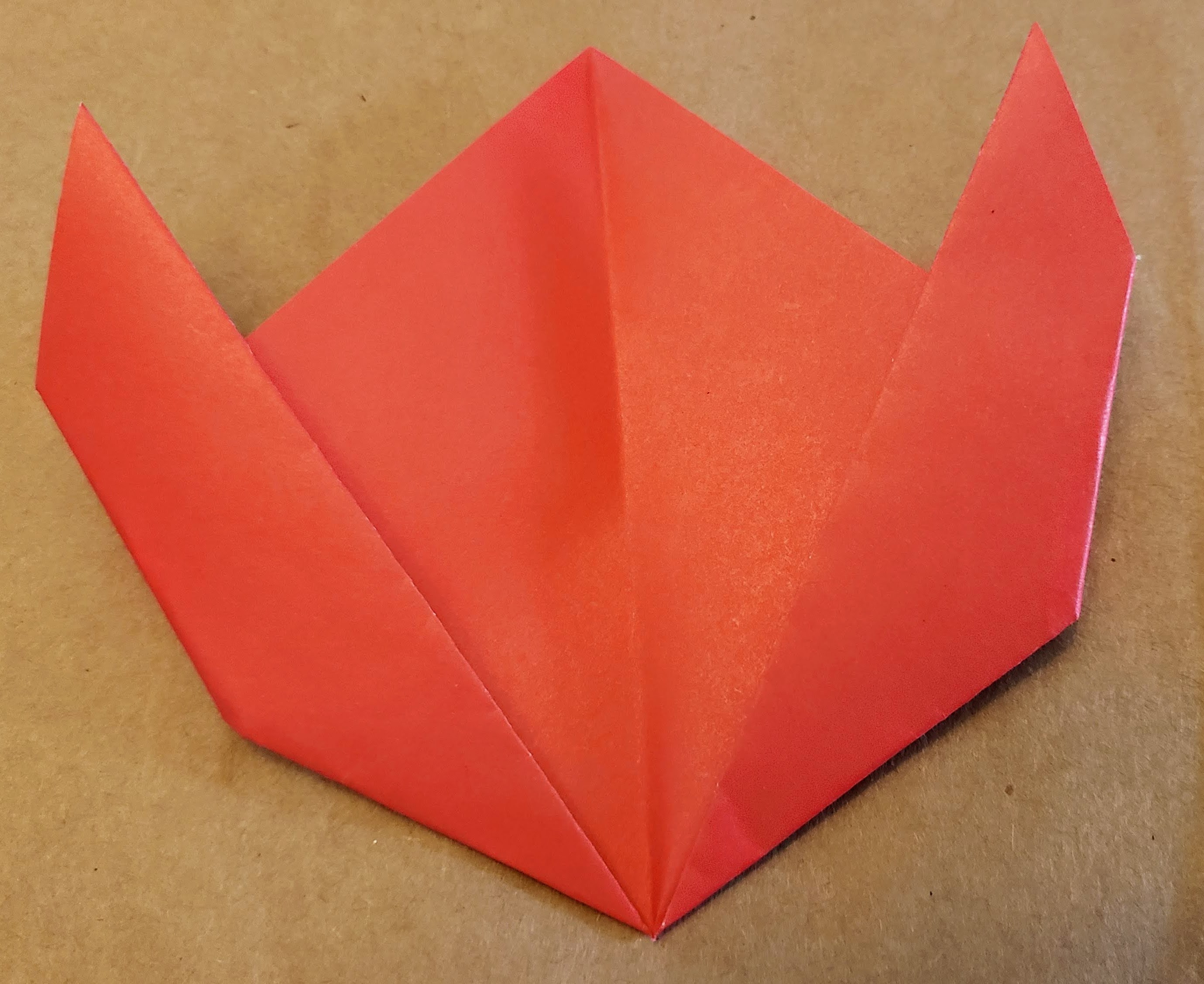 Interesting facts about tulips image